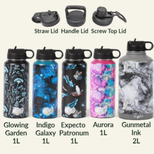 Stainless Steel Water Bottle